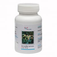 Salai (Boswellia serrata) - 60 capsules - 500 mg