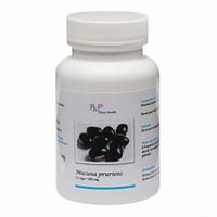 Mucuna pruriens (Kaunch) - 60 capsules - 500 mg